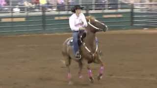HD Lisa +Java   Open Finals   NBHA FL States   16 June 2013