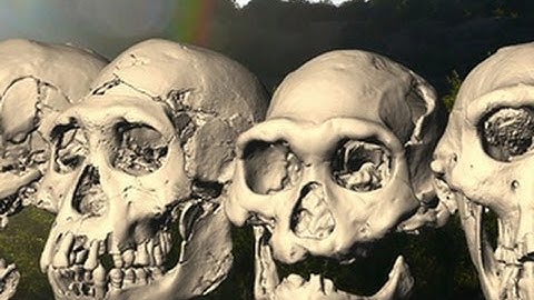 Evolution revolution: New discovery may rewrite human history