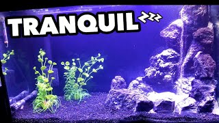 CHEAP EASY DIY UNDERWATER AQUARIUM WATERFALL!