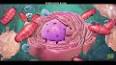 Canlıların Hücresel Yapısı ile ilgili video