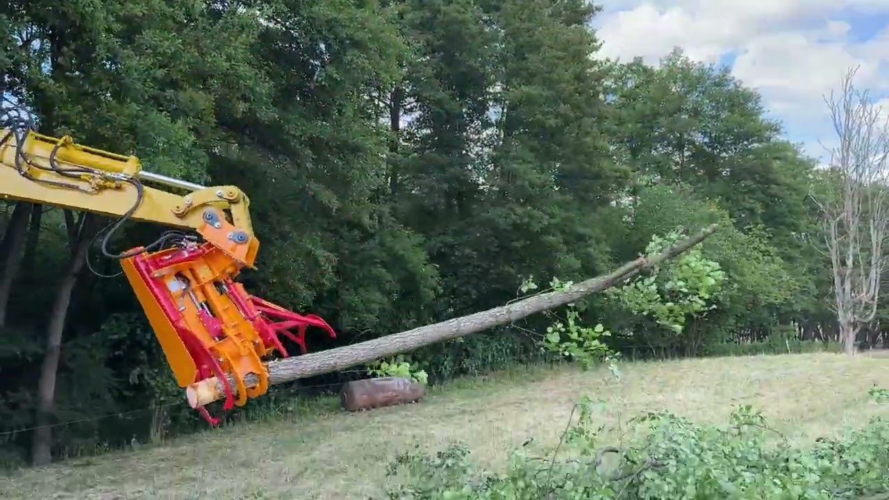 Baumschere Schnitt-Griffy HS 800 SE mit SG 800