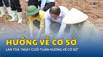 Lan toả "Ngày cuối tuần hướng về cơ sở"  | THLC
