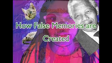 Science Ambassador Application Video✨✨