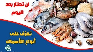 تعرف على أنواع الأسماك..معلومات هامة ✪ Fish Types ✪