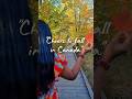 "Happy Fall, eh! Let’s cozy up #fallvibes #fallincanada🍁 #viral #yt #youtubeshorts #trending #fall