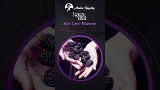 Her Şeye Hazırım Atakan Ilgazdağ