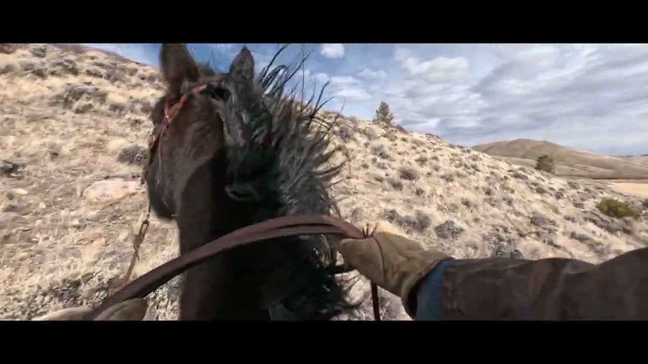 Wind Blew and Odds Beat