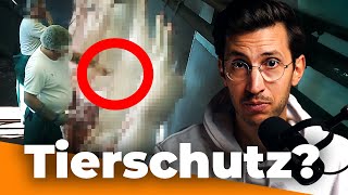 Tiermedizin für ECHTEN Tierschutz! Petition gegen Schlachthofpraktikum by Der Tierarzt - Dr. Karim Montasser 18,232 views 6 months ago 10 minutes, 19 seconds