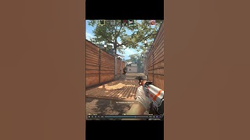 Fake flash cs2 #cs2 #meme #shorts