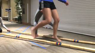 Isang Bansa PCN 2015: Tinikling Trailer