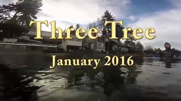 Three Tree Point Dive