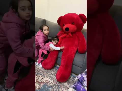 اكبر دبدوب بالعالم أكبر10 دبدوب بالعالم