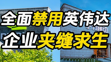 字节跳动停用英伟达？中国算力“腾笼换鸟”的大挑战