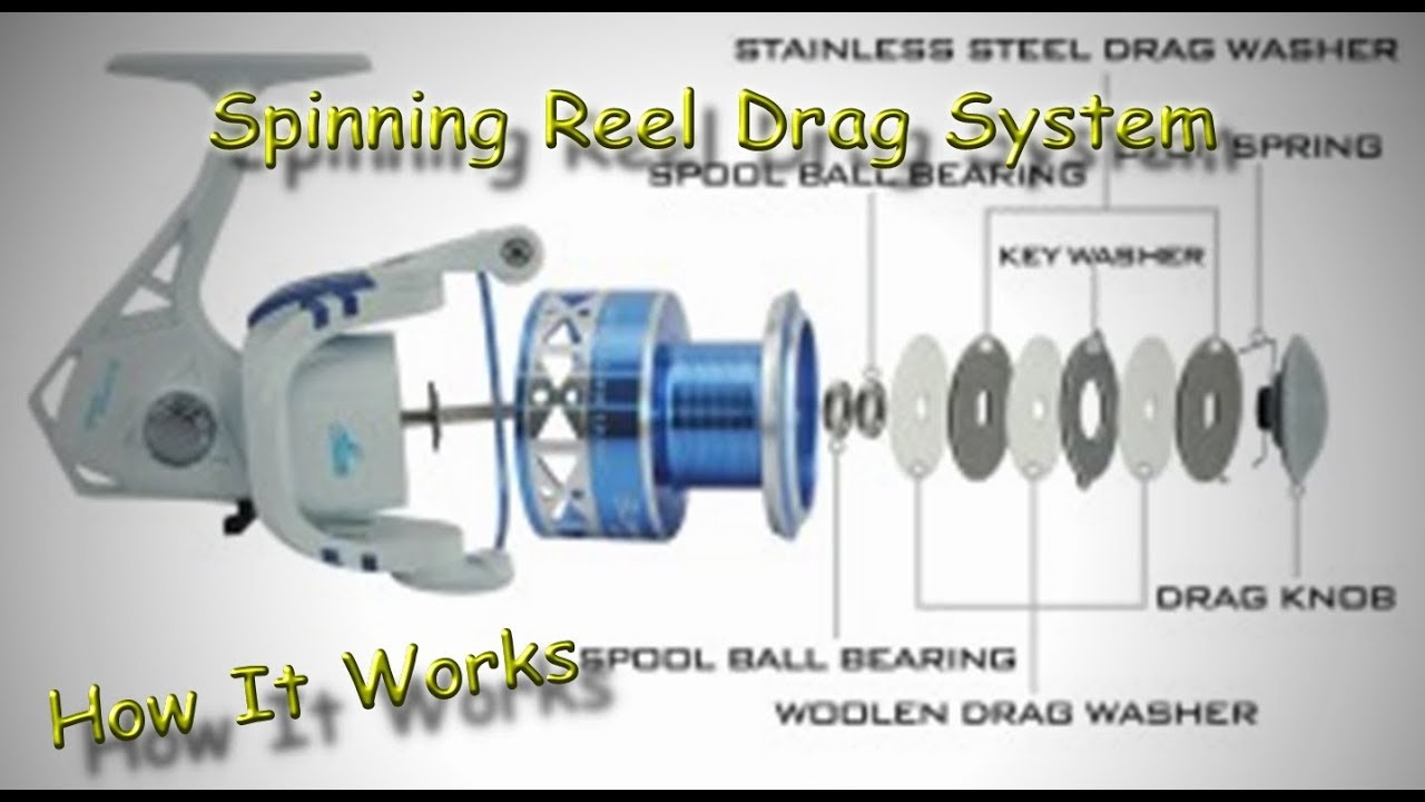 How a Spinning Reel Drag System Works 