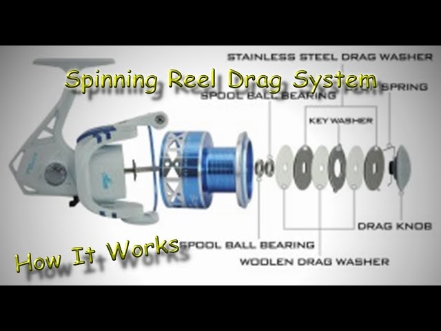 How a Spinning Reel Drag System Works 