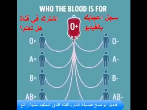 فيديو يوضح فصيلة الدم والفئة الذي تستفيد منها رائع
