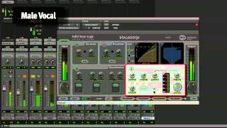 SSL Duende Native  Vocalstrip Plug-In