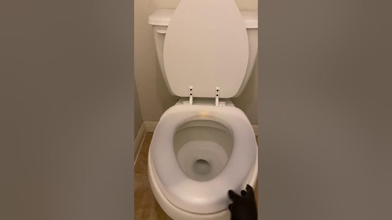 Cleaning toilet with Seventh Generation toilet bowl cleaner YouTube