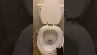 Cleaning Toilet With Seventh Generation Toilet Bowl Cleaner