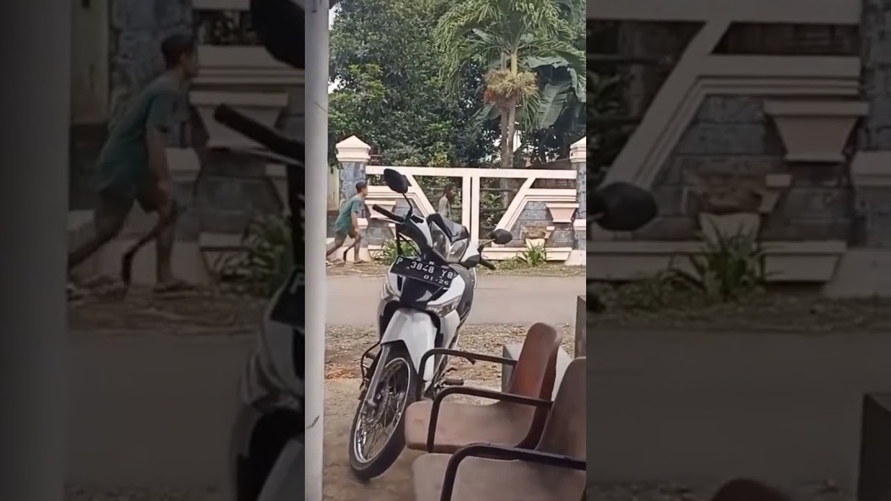 orang gila kena mental🤣