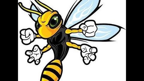 Beat Saber - wASP