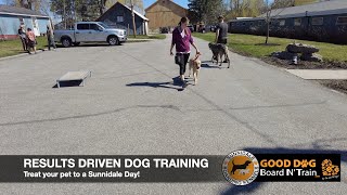 Famous Kramer 21-Day GOOD DOG Board N' Train Program At Sunnidale Boarding Kennels Wealth