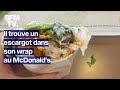 &quot;Dégoûté&quot;: il trouve un escargot dans son wrap dans un McDonald&#39;s de Caudry