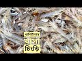 খাশিটানার খাসা চিংড়ি | সুন্দরবন জীবন | সিজন ০৫ | পর্ব ১৩ | Sundarbans | Mohsin ul Hakim