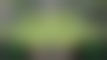 Building a Hydrobucket RDWC system