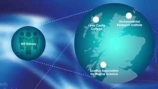 Dp Digital Media Animation Samples