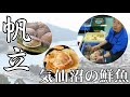 【気仙沼海の市】気仙沼の鮮魚「ホタテ（帆立）」【2016.06.20】