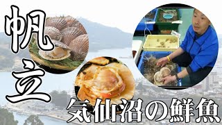 【気仙沼海の市】気仙沼の鮮魚「ホタテ（帆立）」【2016.06.20】