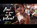 ¿QUÉ COMEMOS EN LA SELVA?