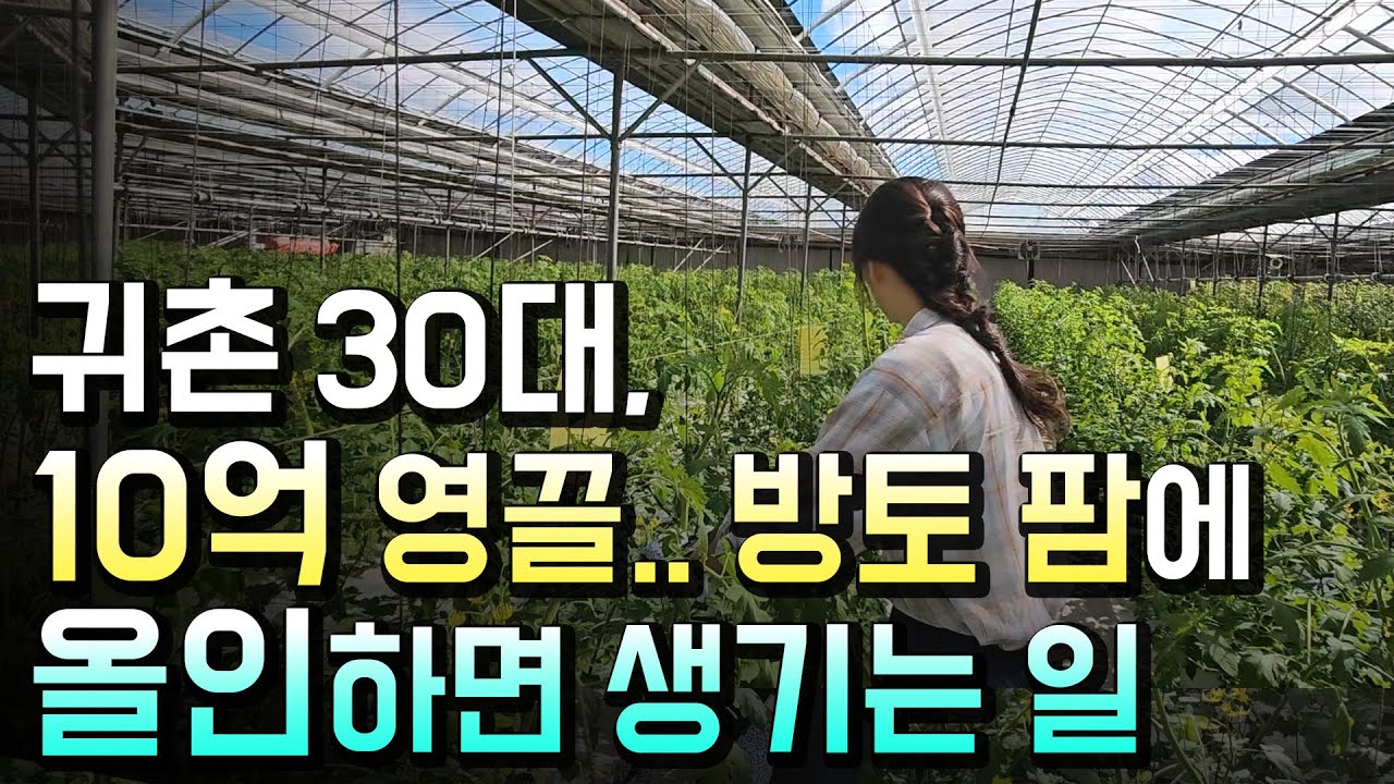 3천평 방토 농사수익 충격 현실...저 직업 바꿉니다