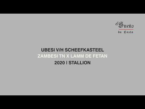 UBESI V/H SCHEEFKASTEEL