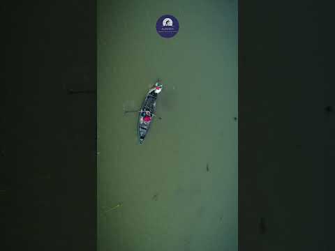   تالاب انزلی  ایران گیلان مستند هیمن آلانی آلانی داک