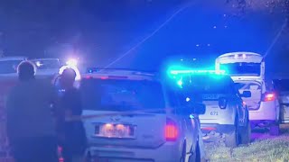 2 killed in violent domestic dispute