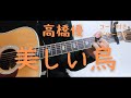 【ギターコード付き】高橋優/美しい鳥【アコギ弾いてみた】