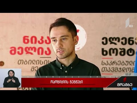 ოპოზიციის გეგმები