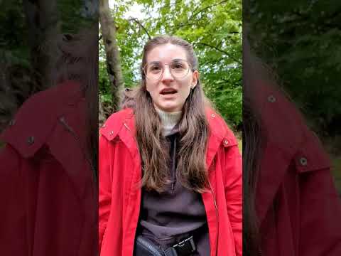 Video: De ce să te plimbi în natură?