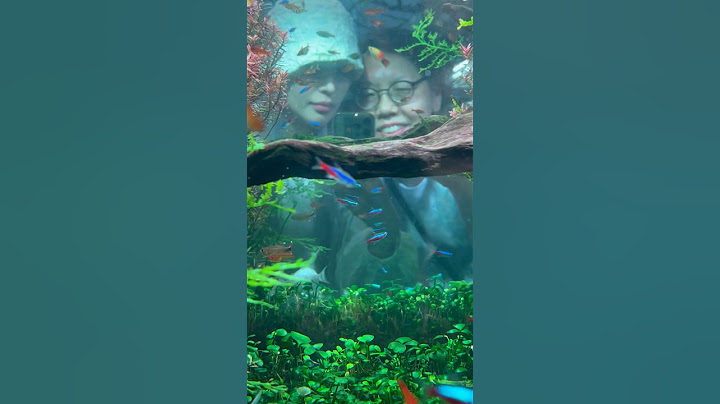 엄마랑 데이트 #vlog #브이로그 #쇼츠