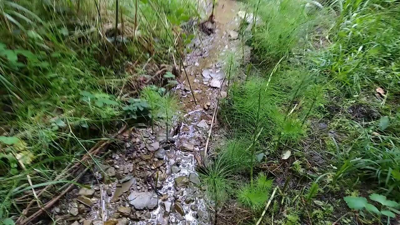 Nacimiento del Río Butrón - YouTube