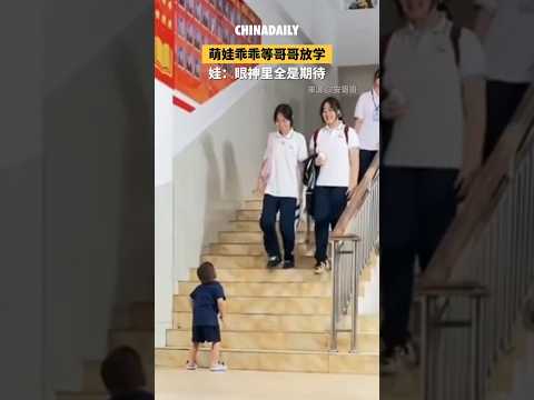 🇨🇳 萌娃痴痴守候哥哥放学，眼神盛满纯真期待 🇬🇧 Little Child Eagerly Waits for Brother to Finish School thumbnail