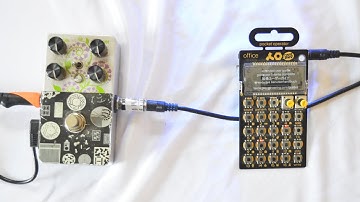Teenage Engineering PO-24 + Catalinbread Heliotrope