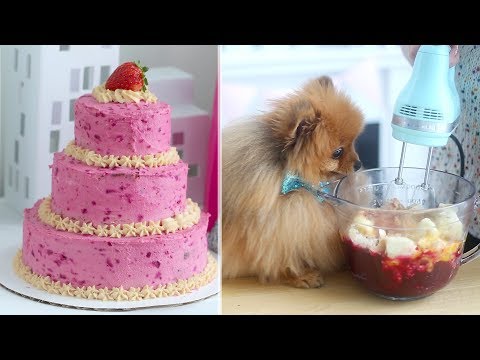 diy-pink-birthday-cake-for-dogs-|-easy-cake-for-dogs-recipe-+-it's-treacle's-birthday!!-yay!