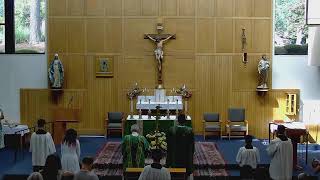 Why God Lets the Weeds Grow: The Power of Grace in Every Life
