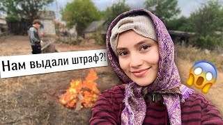 видео: #19 УСТРОИЛИ ПОЖАР! 🔥 Муж опалил себя 😰 СДАЛИ МЕТАЛЛ, убираемся на участке, молодая семья в ДЕРЕВНЕ! картинка: #19 УСТРОИЛИ ПОЖАР! 🔥 Муж опалил себя 😰 СДАЛИ МЕТАЛЛ, убираемся на участке, молодая семья в ДЕРЕВНЕ!