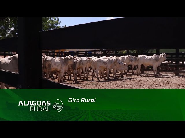 Giro Rural