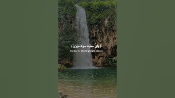 أيات من سورة النجم من 39 - 41