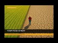 The Great Repricing: Your Food Is Next | CIO Intelligence Nº 02